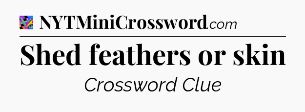 Shed feathers or skin Crossword Clue
