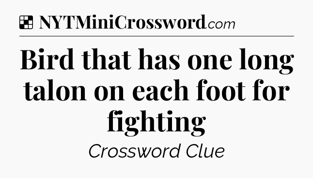 Solution: Bird that has one long talon on each foot for fighting - NYT Crossword