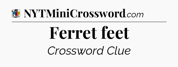 Ferret feet Crossword Clue