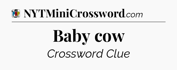 Baby cow Crossword Clue