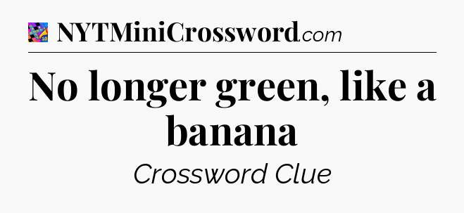 No longer green, like a banana Crossword Clue