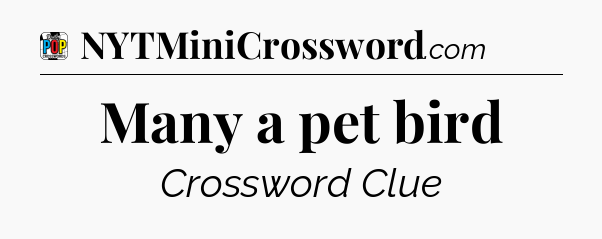 Many a pet bird Crossword Clue