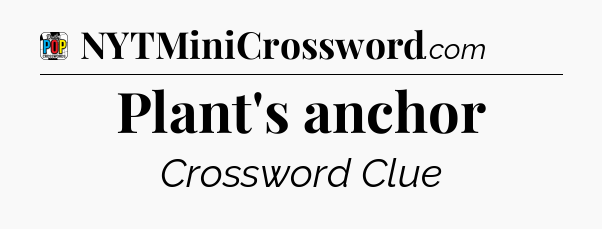 Plant's anchor Crossword Clue