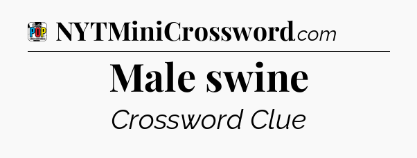 Male swine Crossword Clue