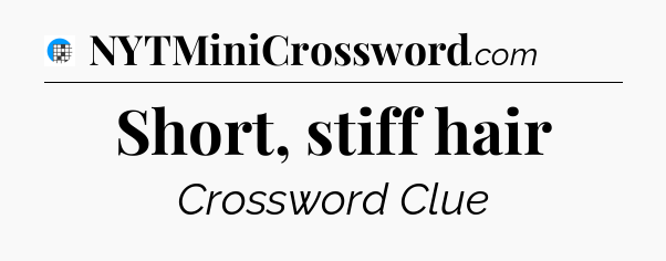 Short, stiff hair Crossword Clue