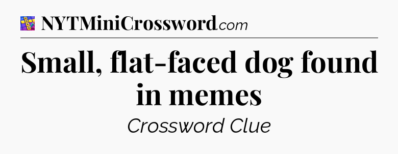 Small, flat-faced dog found in memes Codycross