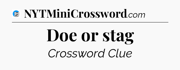 Doe or stag Crossword Clue