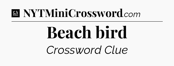 Beach bird - LA Times Crossword