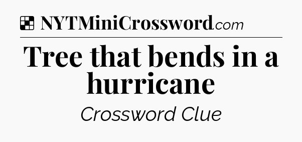 Solution: Tree that bends in a hurricane - NYT Crossword