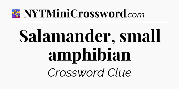 Salamander, small amphibian Codycross