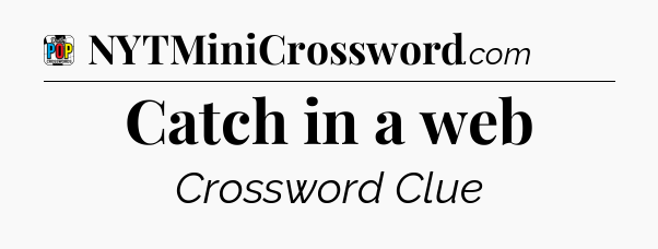 Catch in a web Crossword Clue