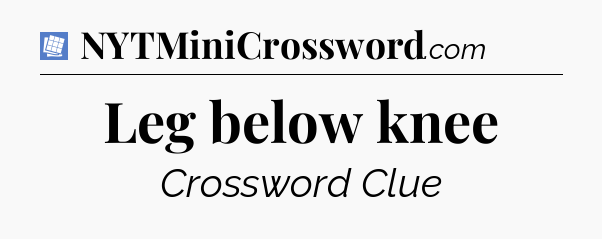 Leg below knee Puzzle Page Crossword Clue