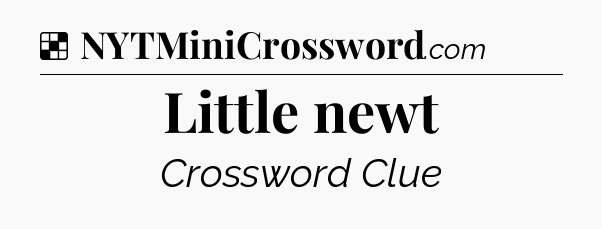 Solution: Little newt - NYT Crossword