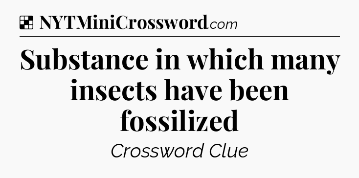 Solution: Substance in which many insects have been fossilized - NYT Crossword