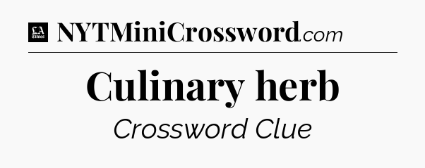 Culinary herb - LA Times Crossword