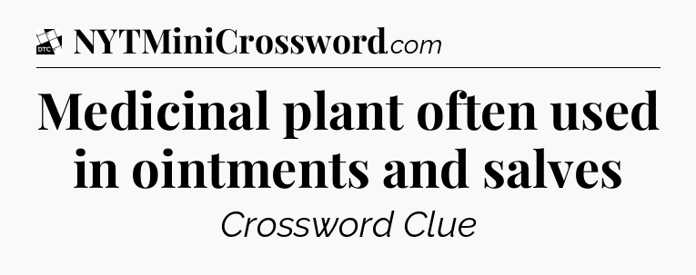 Medicinal plant often used in ointments and salves - Daily Themed Classic Crossword