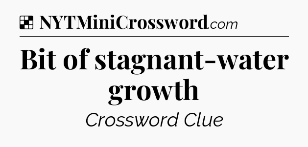 Solution: Bit of stagnant-water growth - NYT Crossword