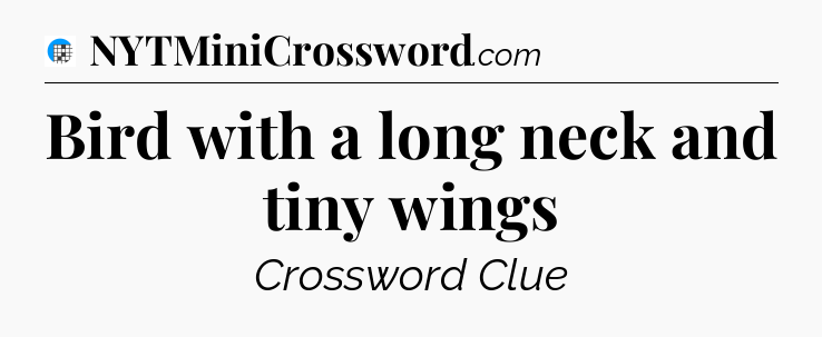 Bird with a long neck and tiny wings Crossword Clue