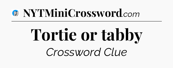 Tortie or tabby Crossword Clue