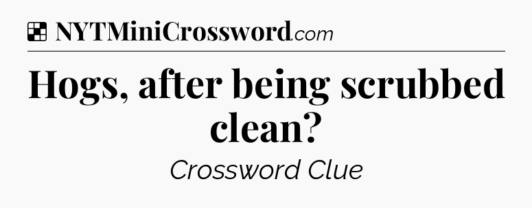 Solution: Hogs, after being scrubbed clean - NYT Crossword