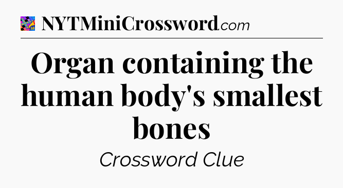 Organ containing the human body's smallest bones Crossword Clue