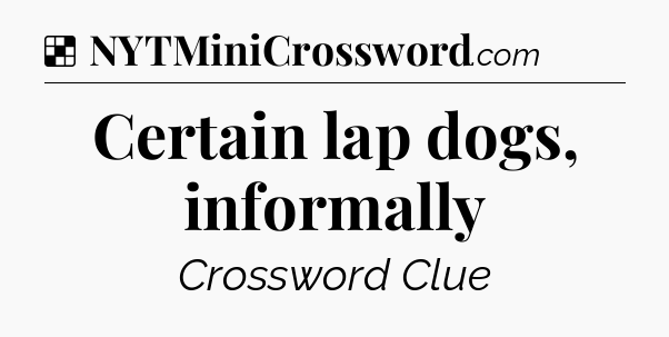Solution: Certain lap dogs, informally - NYT Crossword
