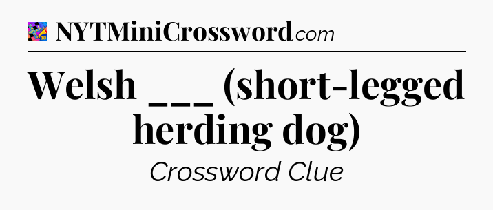 Welsh ___ (short-legged herding dog) Crossword Clue