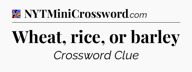 Wheat, rice, or barley Crossword Clue
