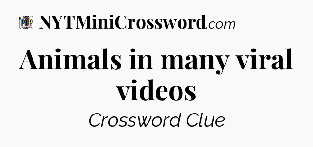 Animals in many viral videos Crossword Clue