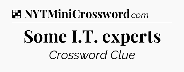 Solution: Some I.T. experts - NYT Crossword