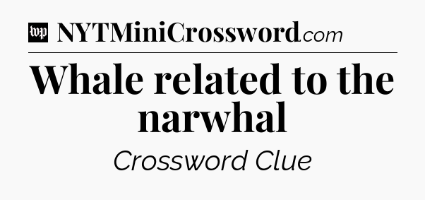 Whale related to the narwhal Crossword Clue