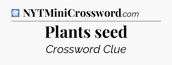 Plants seed Puzzle Page Crossword Clue