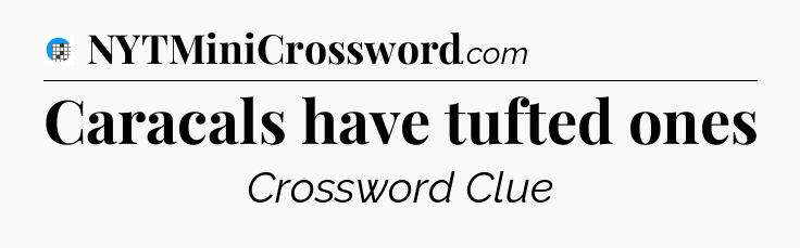 Caracals have tufted ones Crossword Clue