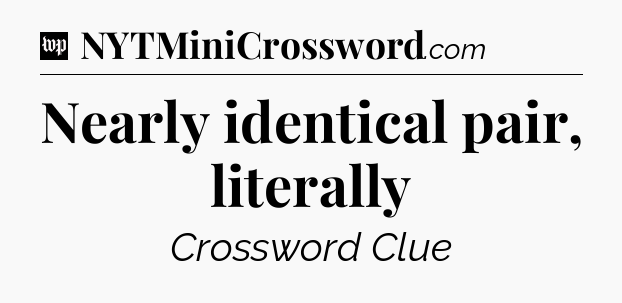 Nearly identical pair, literally Crossword Clue