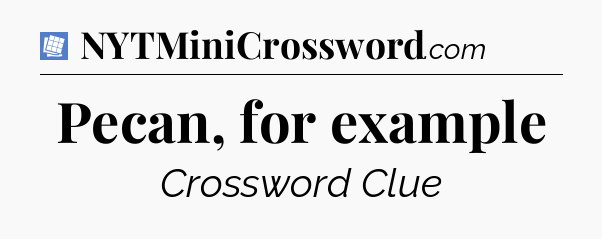 Pecan, for example Puzzle Page Crossword Clue