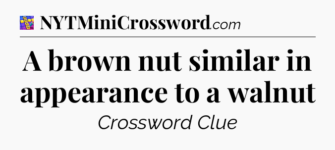 A brown nut similar in appearance to a walnut Codycross