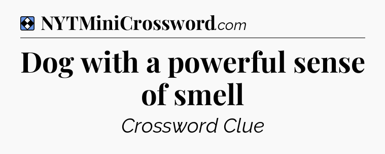 Solution: Dog with a powerful sense of smell - NYT Mini Crossword
