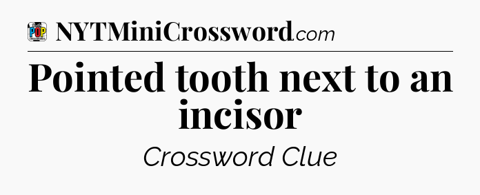 Pointed tooth next to an incisor Crossword Clue