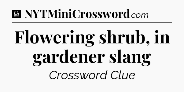 Flowering shrub, in gardener slang - LA Times Crossword