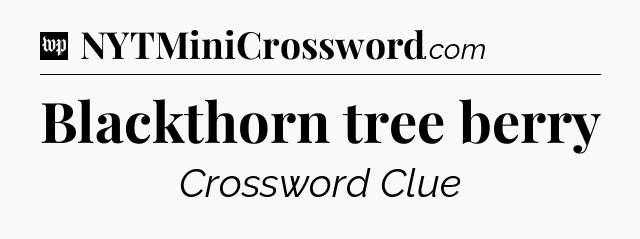 Blackthorn tree berry Crossword Clue