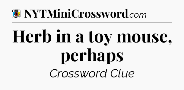 Herb in a toy mouse, perhaps Crossword Clue