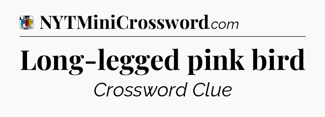 Long-legged pink bird Crossword Clue