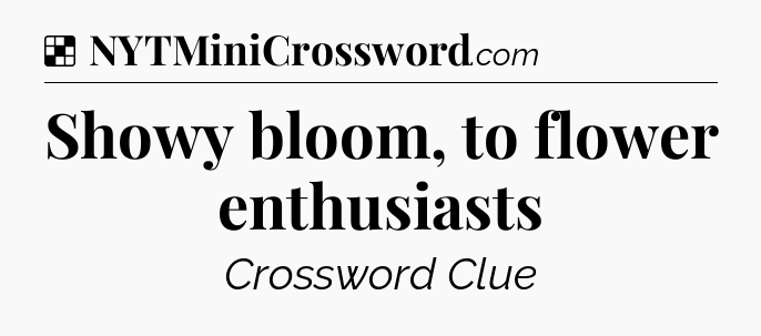 Solution: Showy bloom, to flower enthusiasts - NYT Crossword