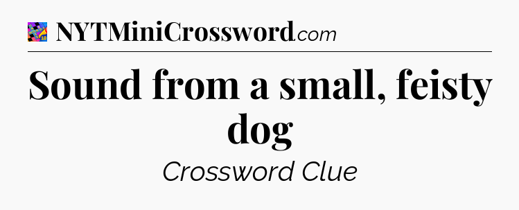 Sound from a small, feisty dog Crossword Clue