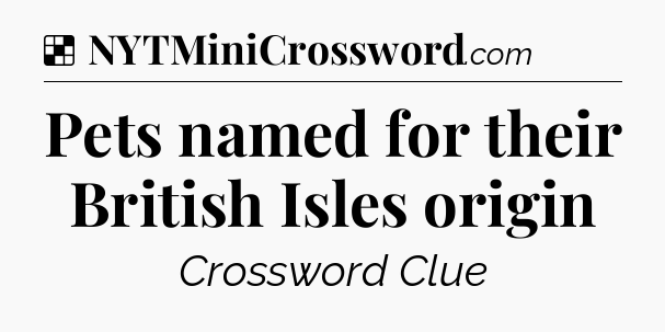 Solution: Pets named for their British Isles origin - NYT Crossword
