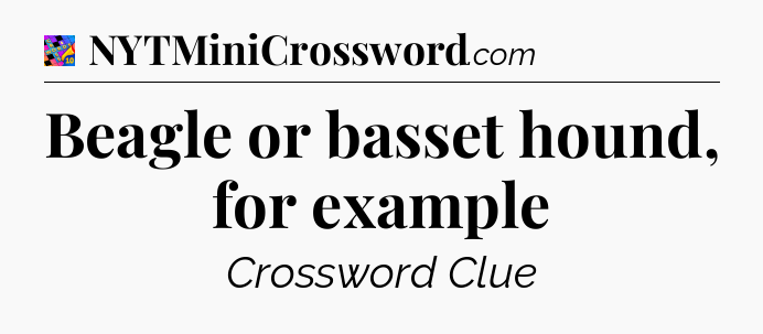 Beagle or basset hound, for example Crossword Clue