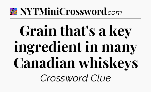 Grain that's a key ingredient in many Canadian whiskeys Crossword Clue