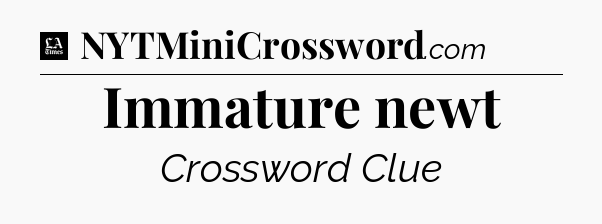 Immature newt - LA Times Crossword
