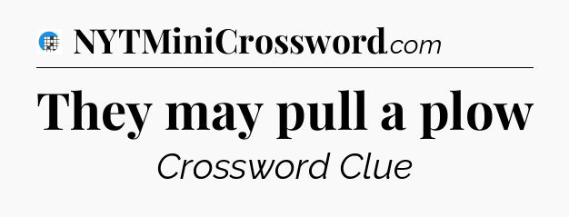 They may pull a plow Crossword Clue