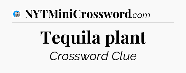 Tequila plant Crossword Clue
